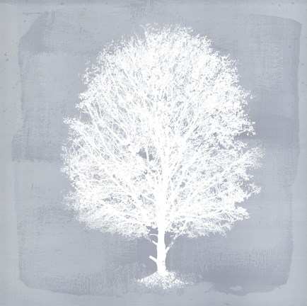 Framed Dream Tree II Print