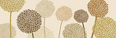 Framed Burnished Alliums Print