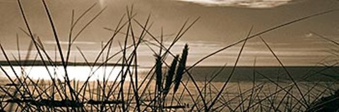 Framed Setting Sun II Print