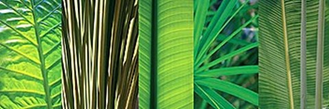 Framed Eco Compostion II Print