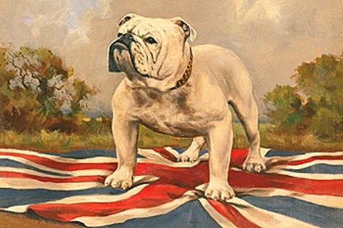 Framed British Bulldog Print
