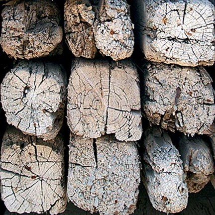 Framed Silvana XVI Print