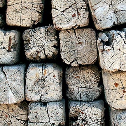 Framed Silvana XV Print