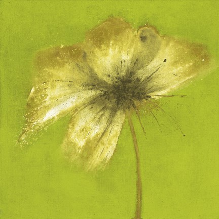 Framed Floral Burst VI Print