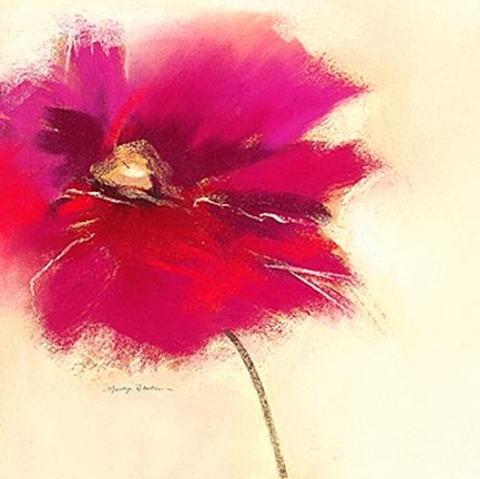 Framed Poppy Power II Print