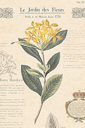 Framed Le Jardin des Fleurs I Print