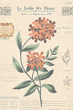 Framed Le Jardin des Fleurs II Print