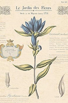 Framed Le Jardin des Fleurs III Print