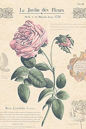 Framed Le Jardin des Fleurs IV Print