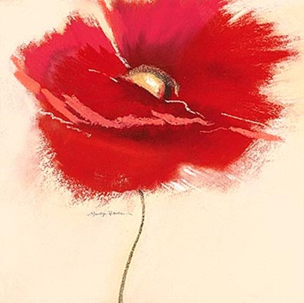 Framed Red Poppy Power III Print