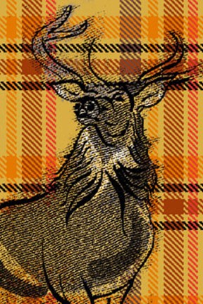 Framed Plaid Stag Print