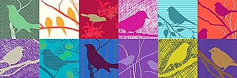 Framed Birdland II Print