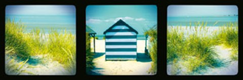 Framed Vintage Capture I Print