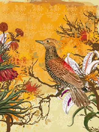 Framed Chinoiserie II Print