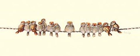 Framed Heads Or Tails Print