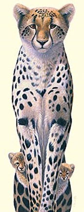 Framed Peek - A - Boo Print