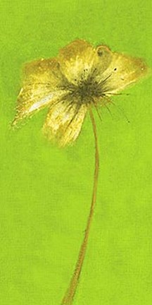 Framed Floral Burst VIII Print