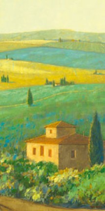 Framed Tuscan Landscape II Print
