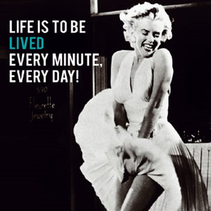 Framed Icon VIII Print