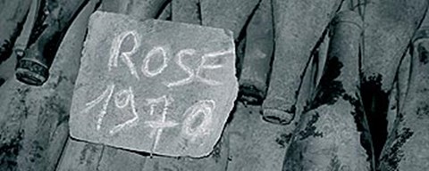 Framed Cellar II Print