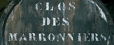 Framed Cellar IV Print