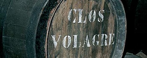 Framed Cellar VII Print