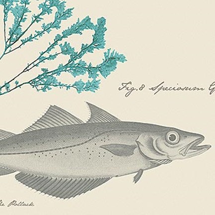 Framed Sea and Shore I Print