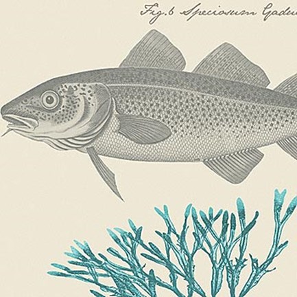 Framed Sea and Shore II Print