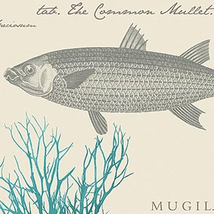 Framed Sea and Shore V Print