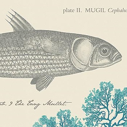 Framed Sea and Shore VI Print