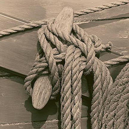 Framed Nautical Aspect IV Print