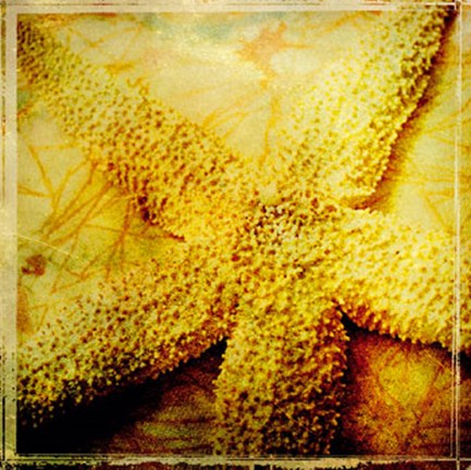 Framed At the Seashore II Print