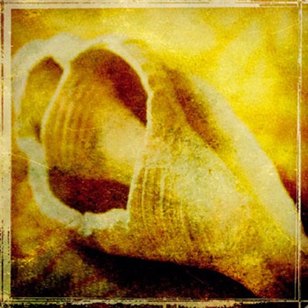 Framed At the Seashore III Print