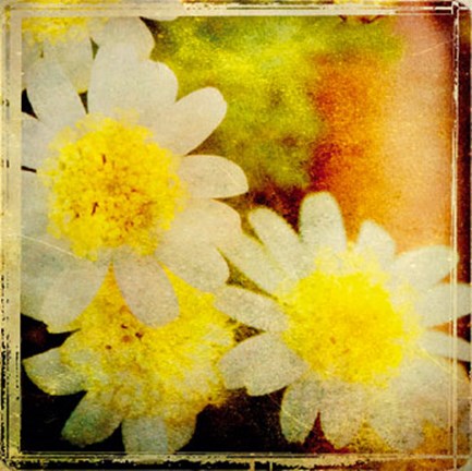 Framed Vintage Garden I Print