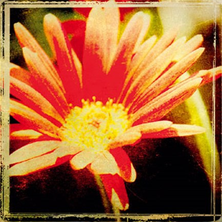 Framed Vintage Garden III Print