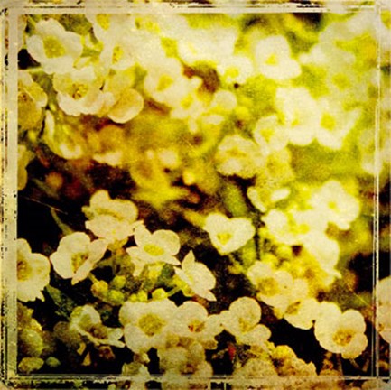 Framed Vintage Garden VII Print