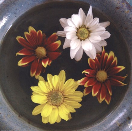 Framed Floating Dreams III Print