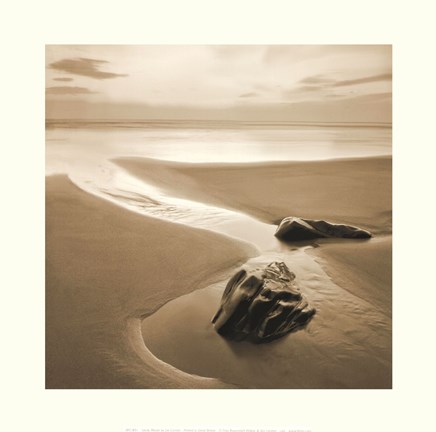 Framed Sandy Mouth Print