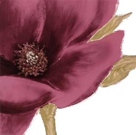 Framed Grandiflora Blush I Print