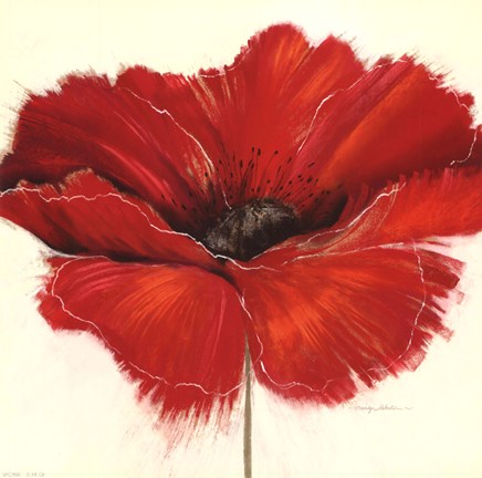 Framed Drama II Print