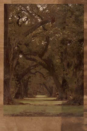 Framed Low Country Trees I Print