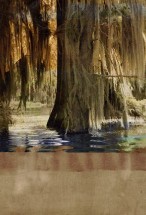 Framed Low Country Trees II Print