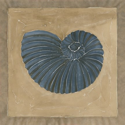 Framed Sandy Shore III Print