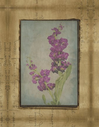 Framed Photographic Floral Collage III Print