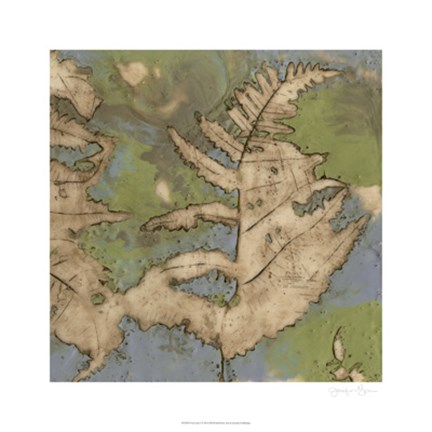 Framed Fern Lake I Print