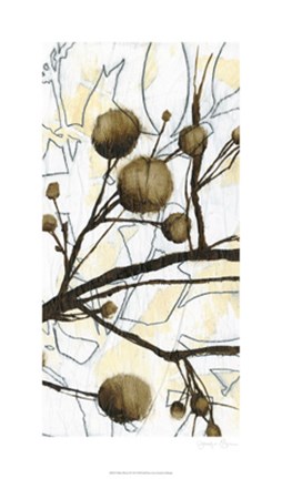 Framed Willow Blooms II Print