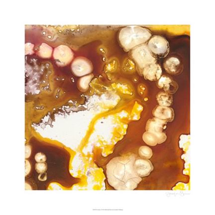 Framed Geodesic I Print