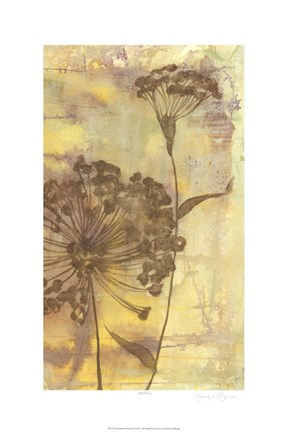 Framed Dandelion Dance II Print