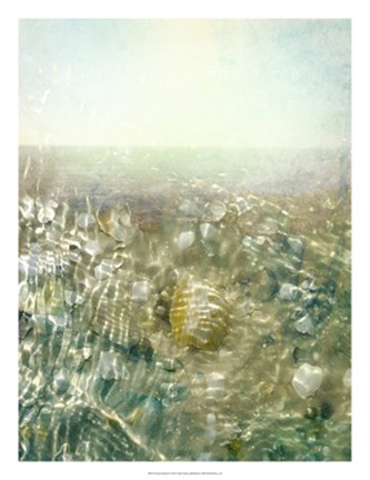 Framed Ocean Dream II Print