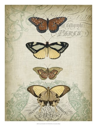 Framed Cartouche &amp; Butterflies I Print